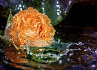 W czym moczyć zardzewiałe śruby?